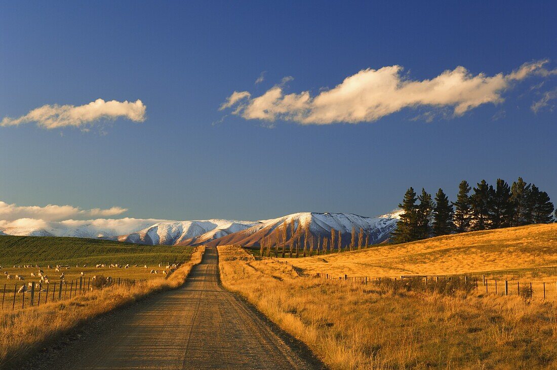 Gravel road and Hawkdun Range, Ranfurly, Central Otago, South Island, New Zealand, Pacific