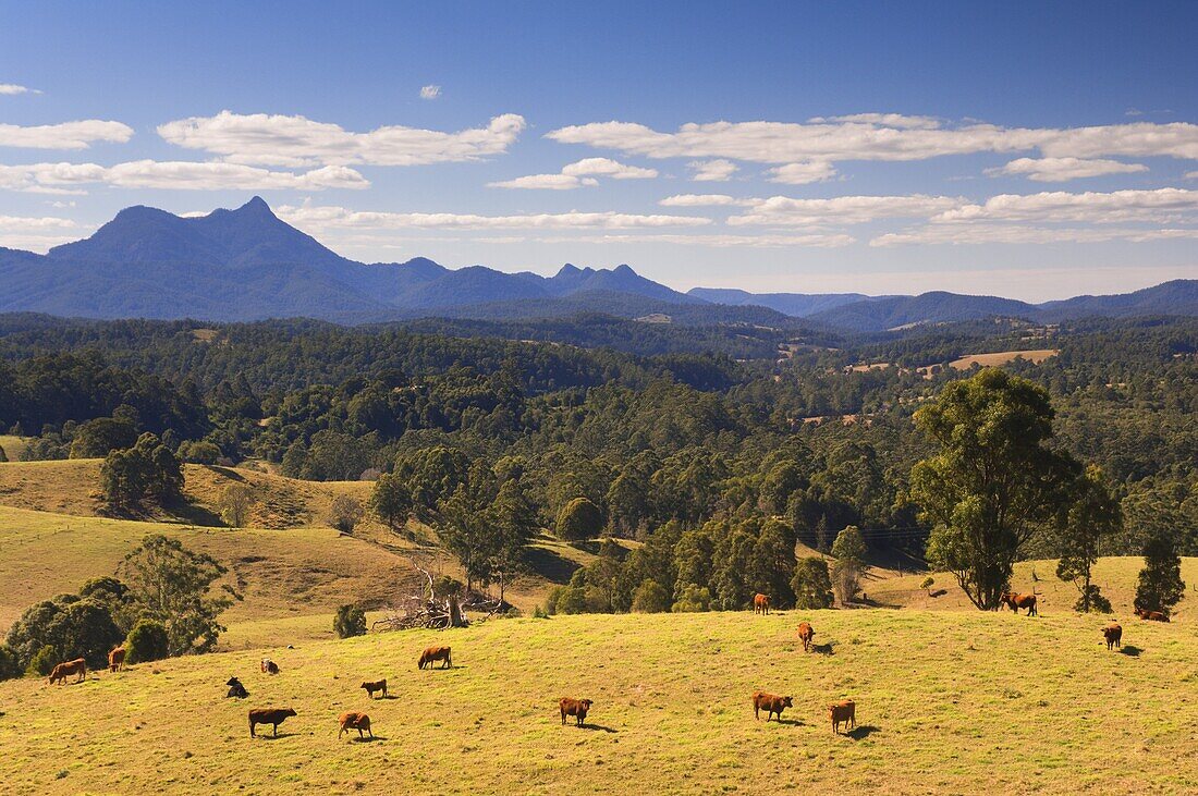 Mount Warning and Tweed Valley, New South Wales, Australia, Pacific