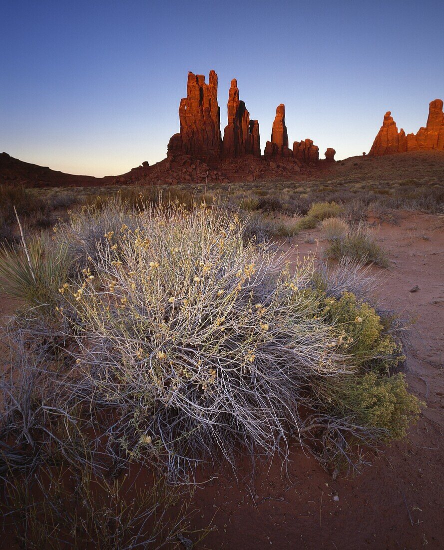 Sandstone pillars bathed in golden evening light, Monument Valley Navajo Tribal Park, border of Utah and Arizona, United States of America, North America