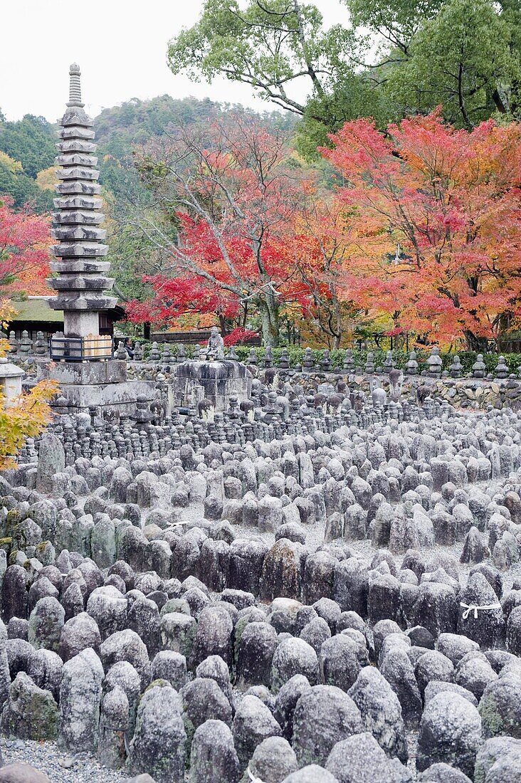 Jizo stone statues and autumn maple leaves at Adashino Nenbutsu dera temple, Arashiyama Sagano area, Kyoto, Japan, Asia