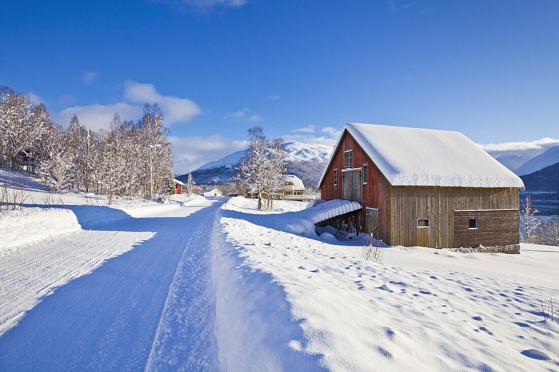 Snow covered road, barn and chalets in Norwegian village of Laukslett, Troms, North Norway, Scandinavia, Europe