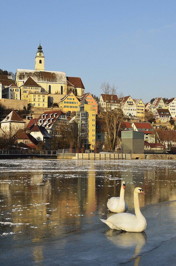 Old town of Horb and the frozen River Neckar, Neckartal (Neckar Valley), Baden-Wurttemberg, Germany, Europe