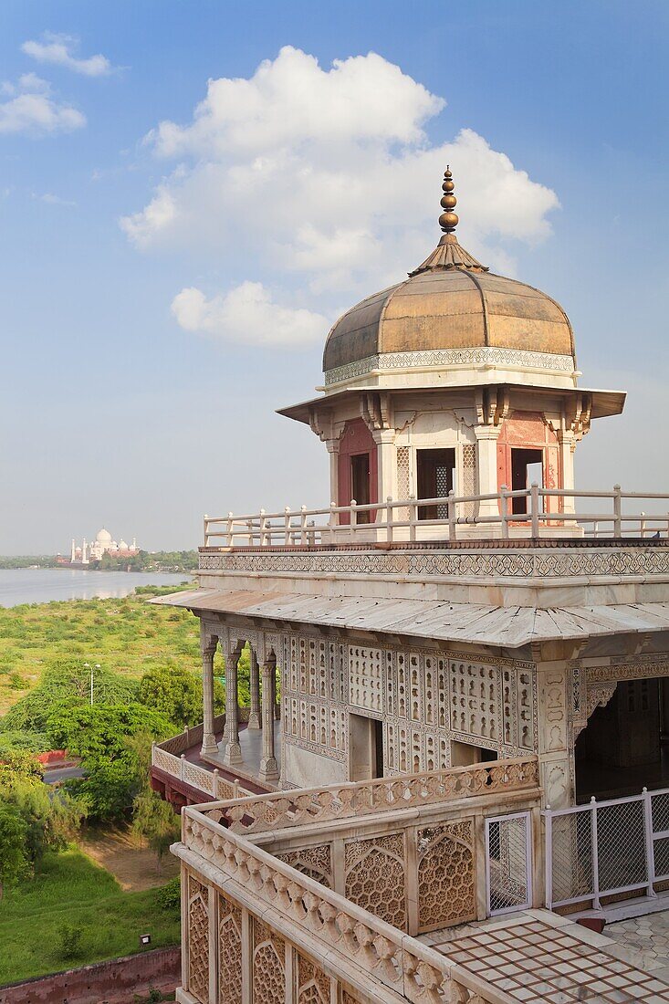 Taj Mahal, UNESCO World Heritage Site, across the Jumna (Yamuna) River from the Red Fort, Agra, Uttar Pradesh state, India, Asia