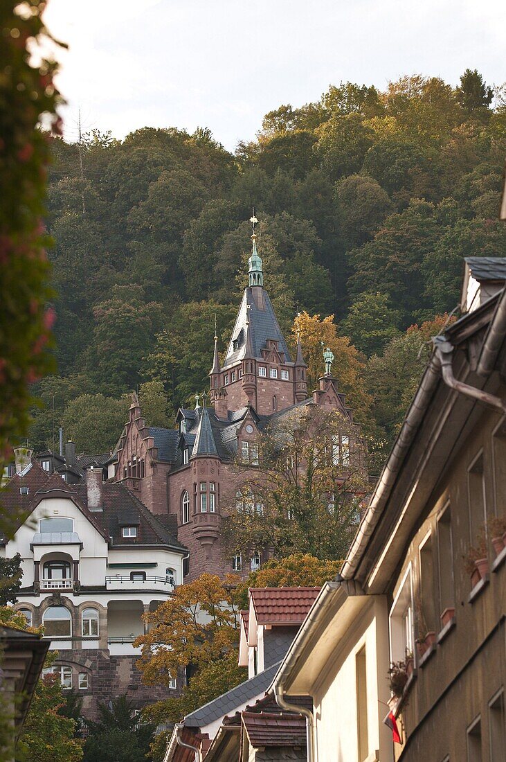 Old Town, Heidelberg, Baden-Wurttemberg, Germany, Europe