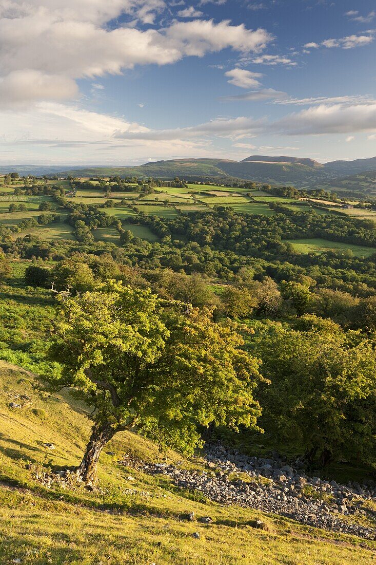 Rolling countryside surrounding the Usk Valley, Brecon Beacons National Park, Powys, Wales, United Kingdom, Europe