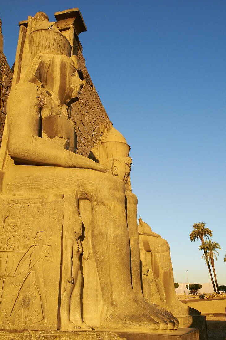 Temple of Luxor, Thebes, UNESCO World Heritage Site, Egypt, North Africa, Africa