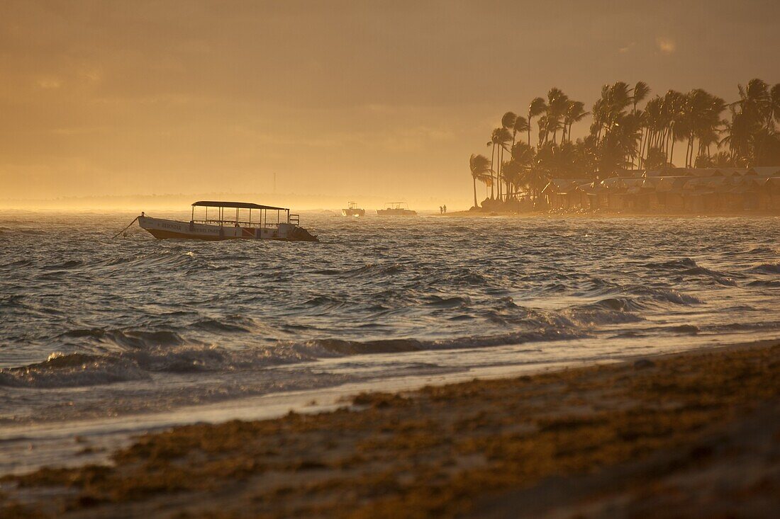 Bavaro Beach at sunrise, Punta Cana, Dominican Republic, West Indies, Caribbean, Central America