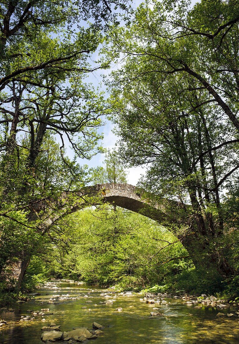 Ancient stone bridge near Kipi, Zagoria, Epirus, Greece, Europe