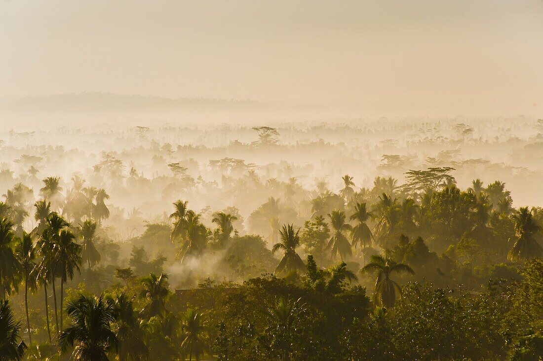 Early morning mist on the Kedu Plain at sunrise from the Borobudur Temple, Java, Indonesia, Southeast Asia, Asia