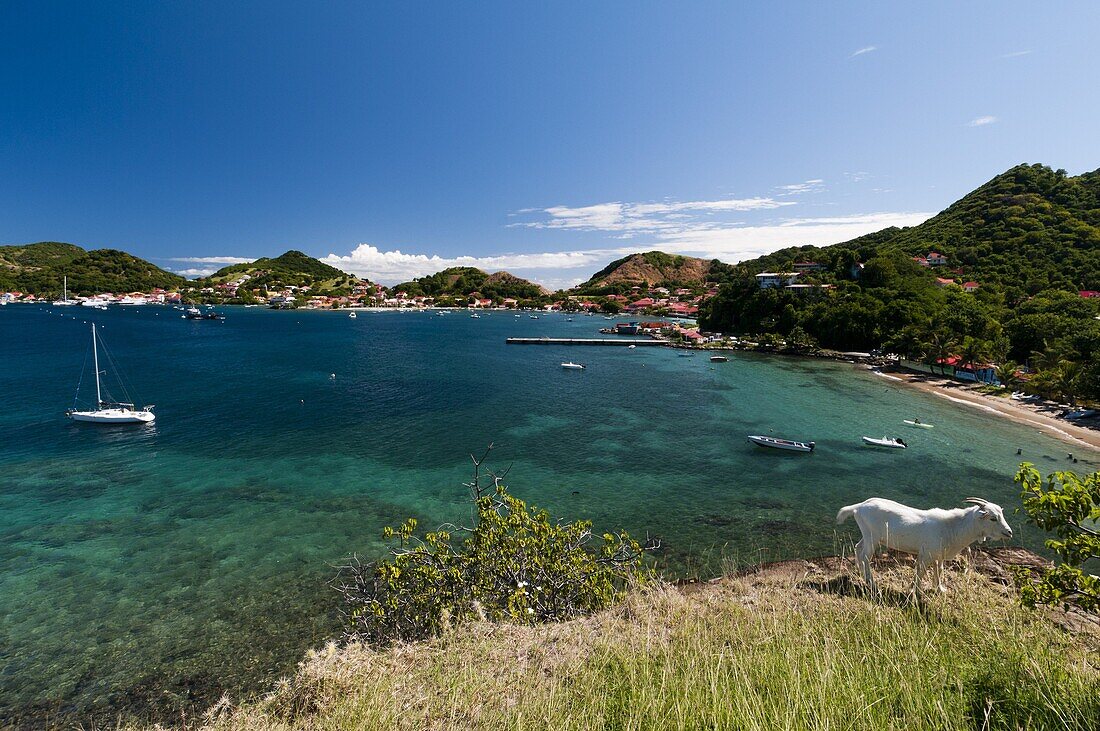 Le Bourg, Iles des Saintes, Terre de Haut, Guadeloupe, French Caribbean, France, West Indies, Central America