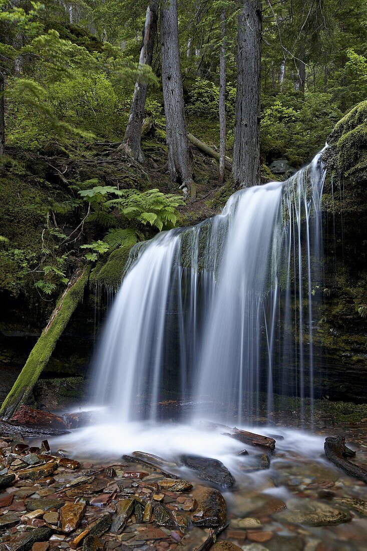 Fern Falls, Coeur d'Alene National Forest, Idaho Panhandle National Forests, Idaho, United States of America, North America