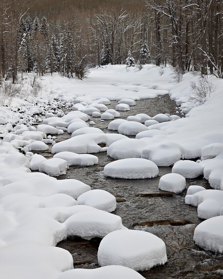 Snow pillows on the Dolores River, San Juan National Forest, Colorado, United States of America, North America