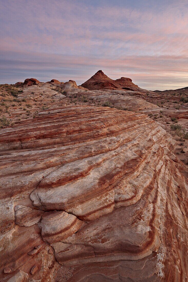 Red and white sandstone layers with colorful clouds at sunrise, Valley Of Fire State Park, Nevada, United States of America, North America