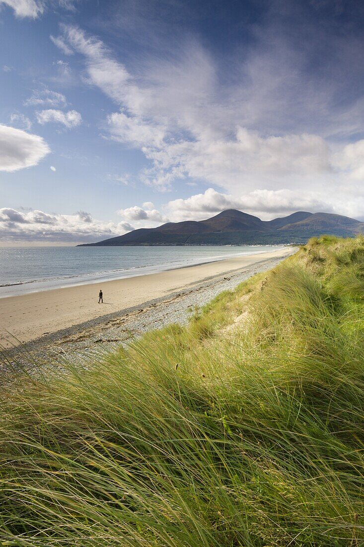 Person walking alone along Dundrum Bay, County Down, Northern Ireland, United Kingdom, Europe
