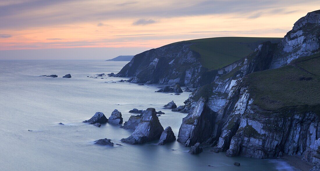 Slate sea stacks and cliffs near Westcombe Beach, South Devon, England, United Kingdom, Europe