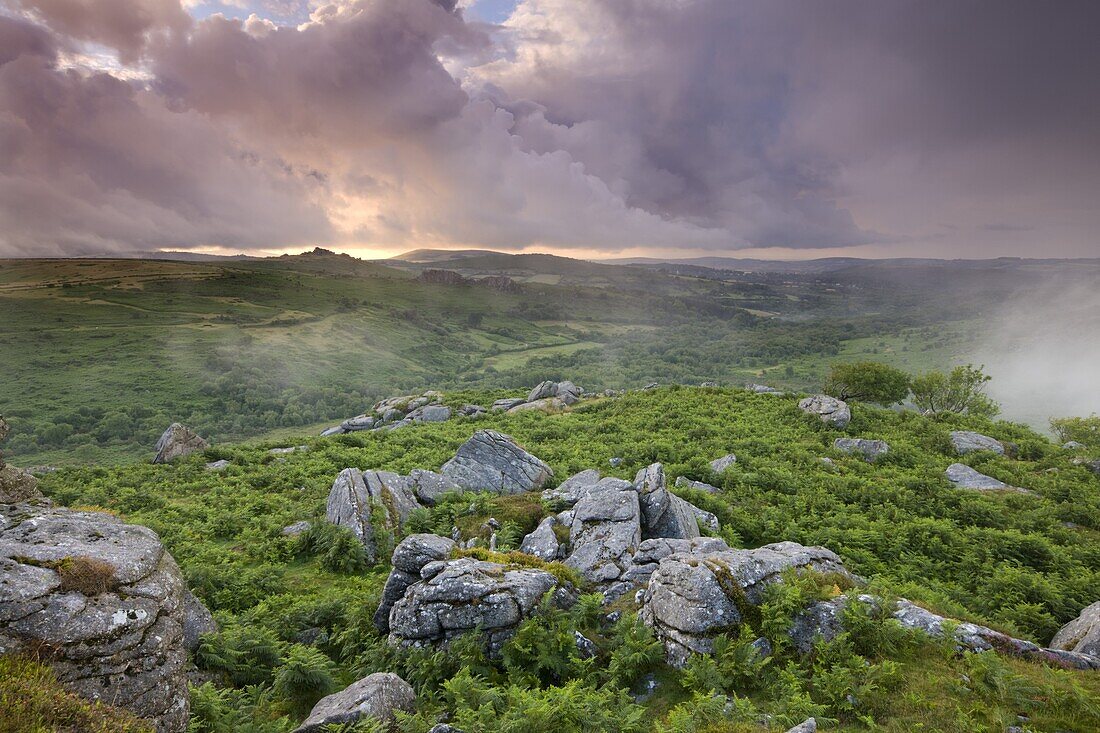 Granite rocks and bracken at Holwell Tor, looking towards Hound Tor on a stormy and misty Summer evening, Dartmoor National Park, Devon, England, United Kingdom, Europe