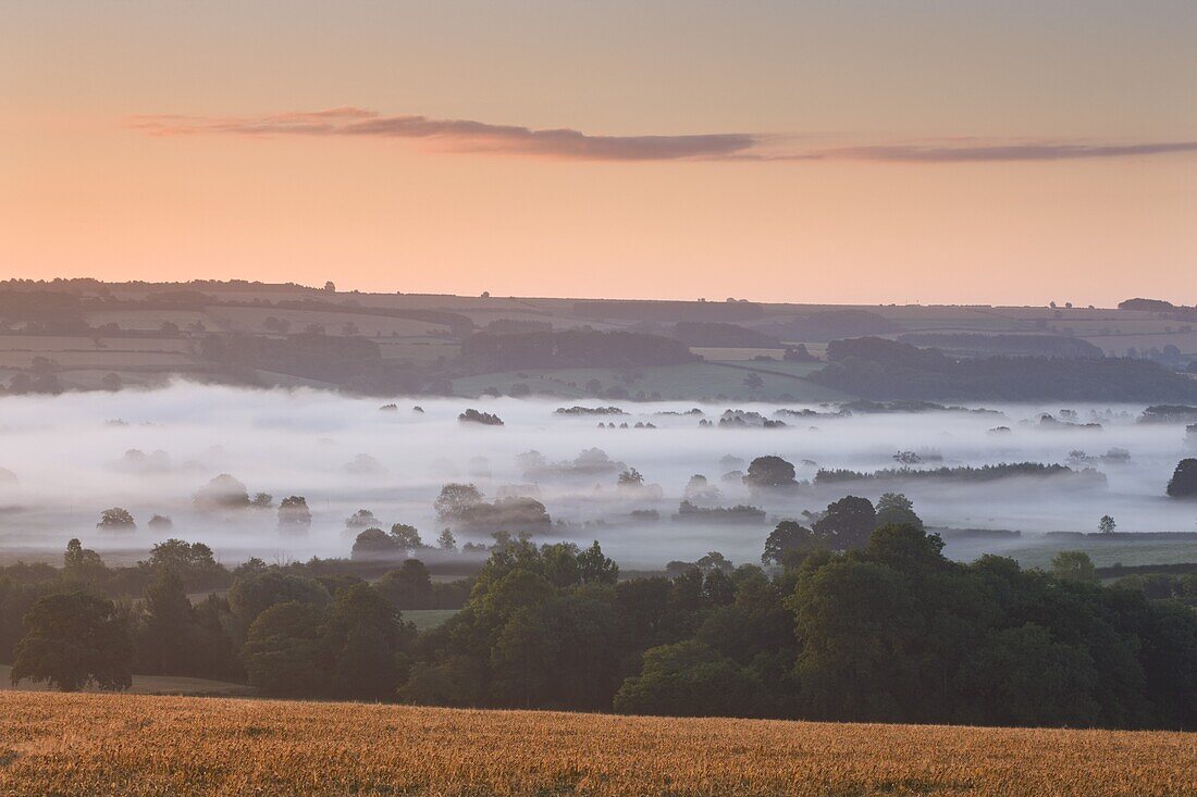 Mist covered Cotswolds countryside near Bourton on the Water, Gloucestershire, The Cotswolds, England, United Kingdom, Europe