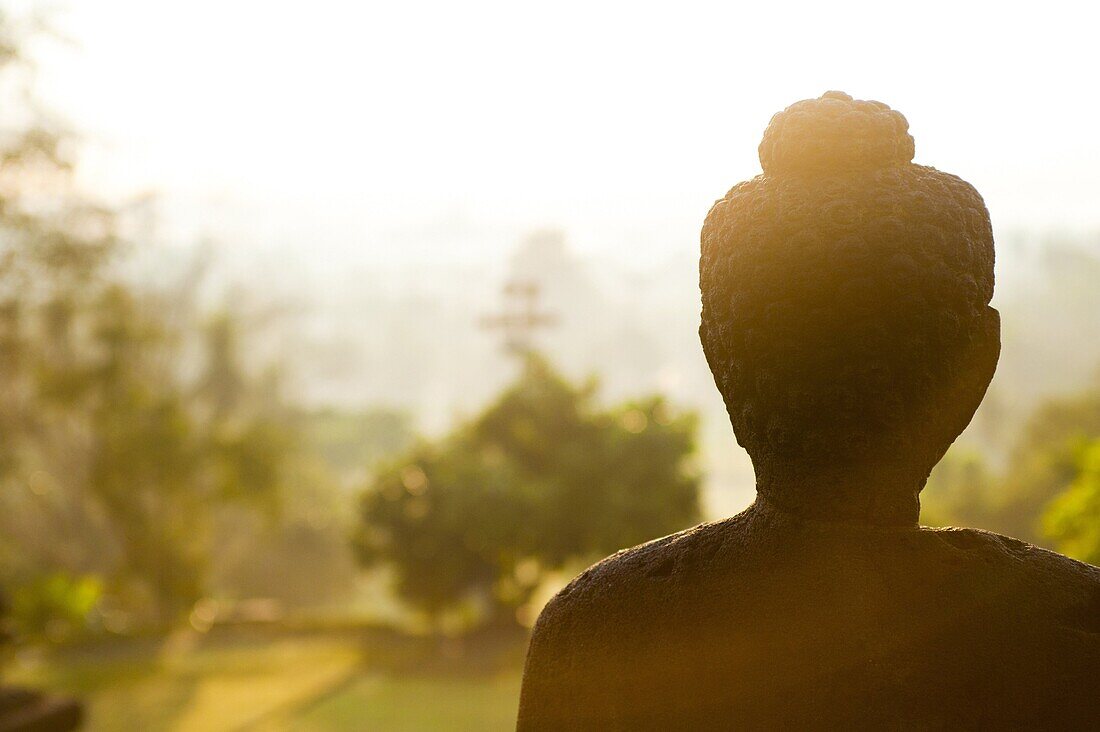 Stone Buddha statue at sunrise at the Buddhist Temple, Borobudur (Borobodur), UNESCO World Heritage Site, Java, Indonesia, Southeast Asia, Asia