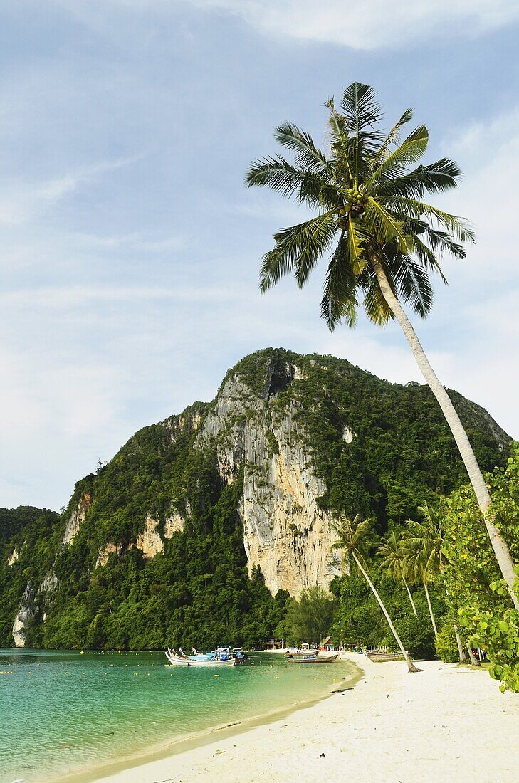 Ton Sai Bay, Ko Phi Phi, Krabi Province, Thailand, Southeast Asia, Asia