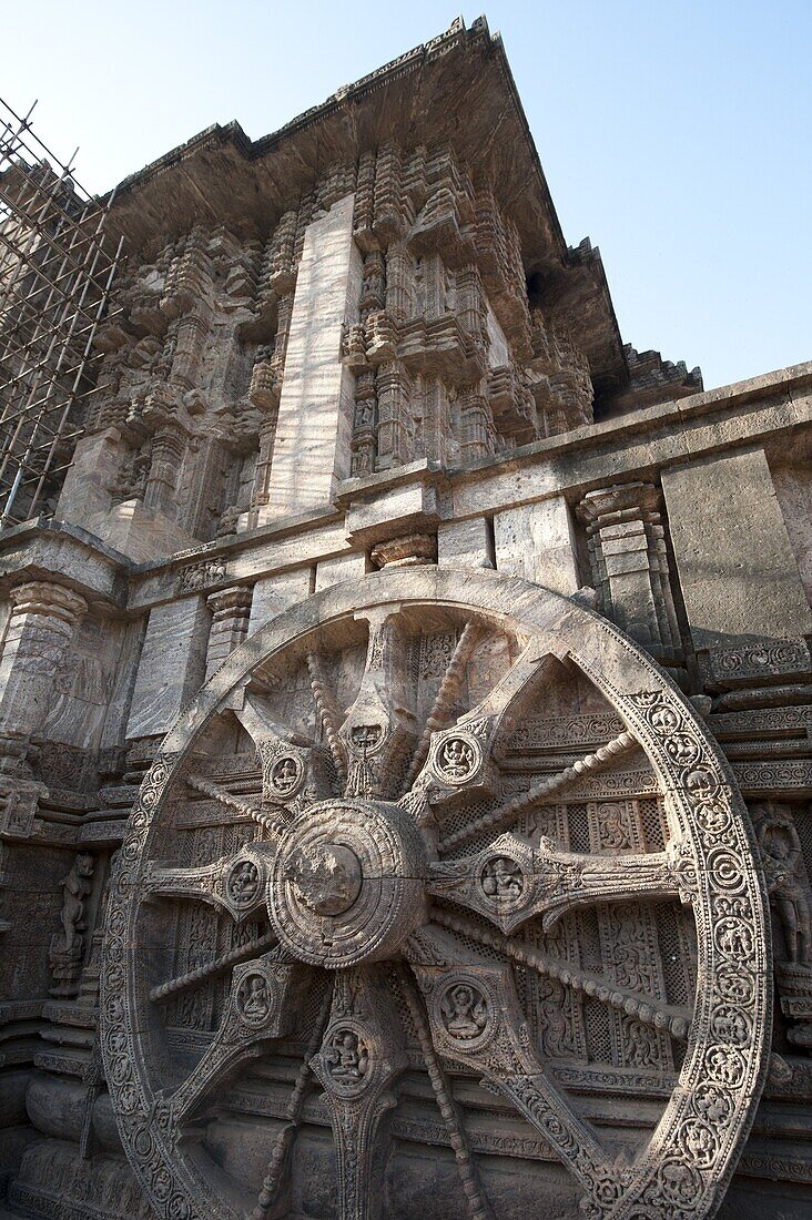 Carved chariot wheel on the wall of the 13th century Konarak Sun temple, built as the chariot of Surya the Sun god, UNESCO World Heritage Site, Konarak, Orissa, India, Asia