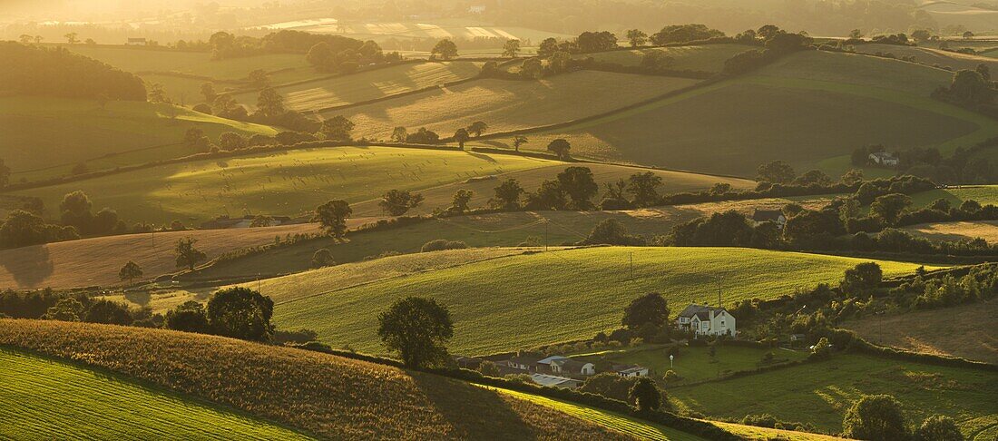 Rolling countryside in summer time, near Crediton, Devon, England, United Kingdom, Europe