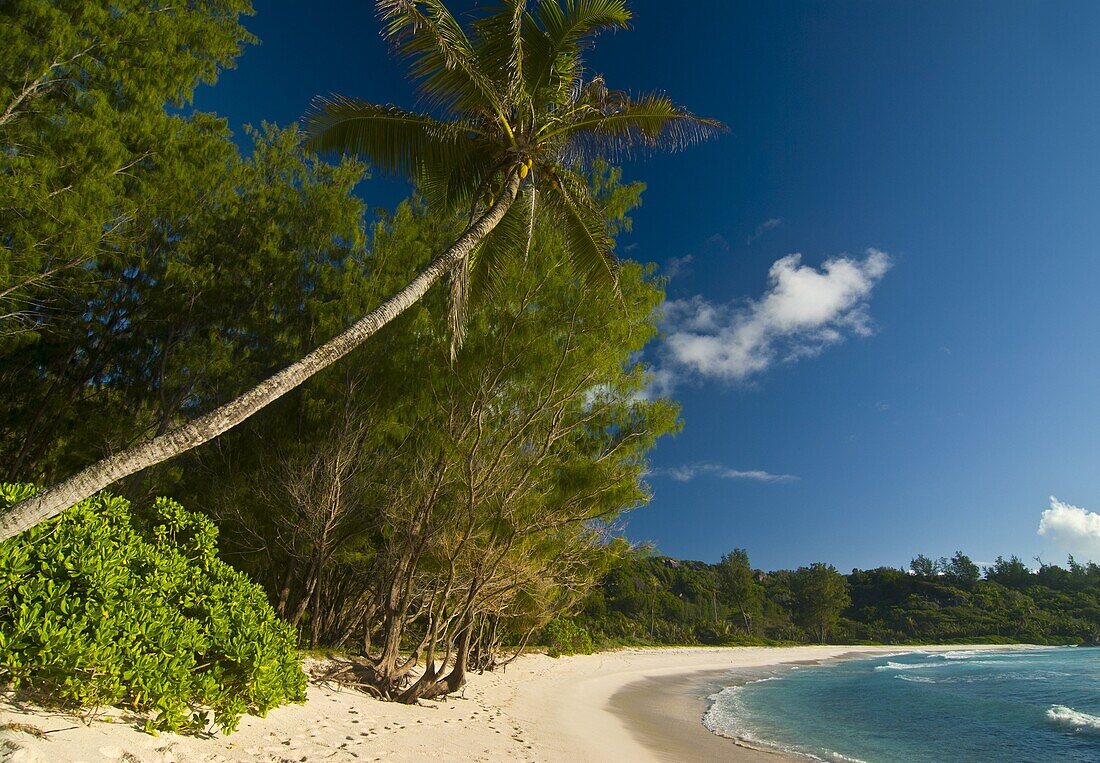 Beach of Anse Cocos, La Digue, Seychelles, Indian Ocean, Africa