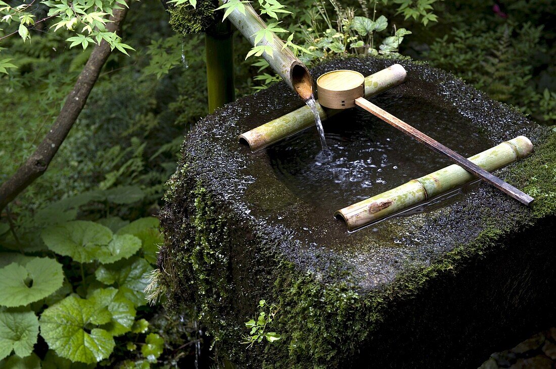 A tsukubai (stone water basin) with bamboo ladle in a garden at Sanzenin Temple in Ohara, Kyoto, Japan, Asia