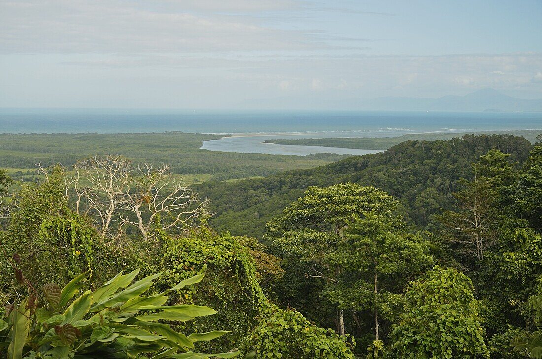 View of Mount Alexandra and Coral Sea, Daintree National Park, UNESCO World Heritage Site, Queensland, Australia, Pacific