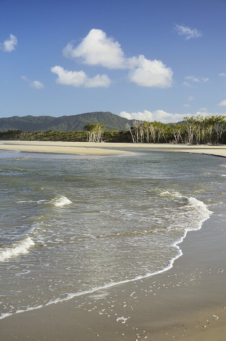 Noah Beach, Daintree National Park, UNESCO World Heritage Site, Queensland, Australia, Pacific