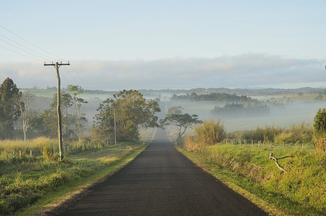 Road and farmland on foggy morning, Atherton Tableland, Queensland, Australia, Pacific