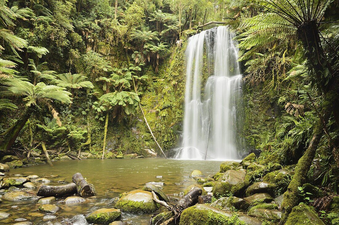 Beauchamp Falls, Great Otway National Park, Victoria, Australia, Pacific