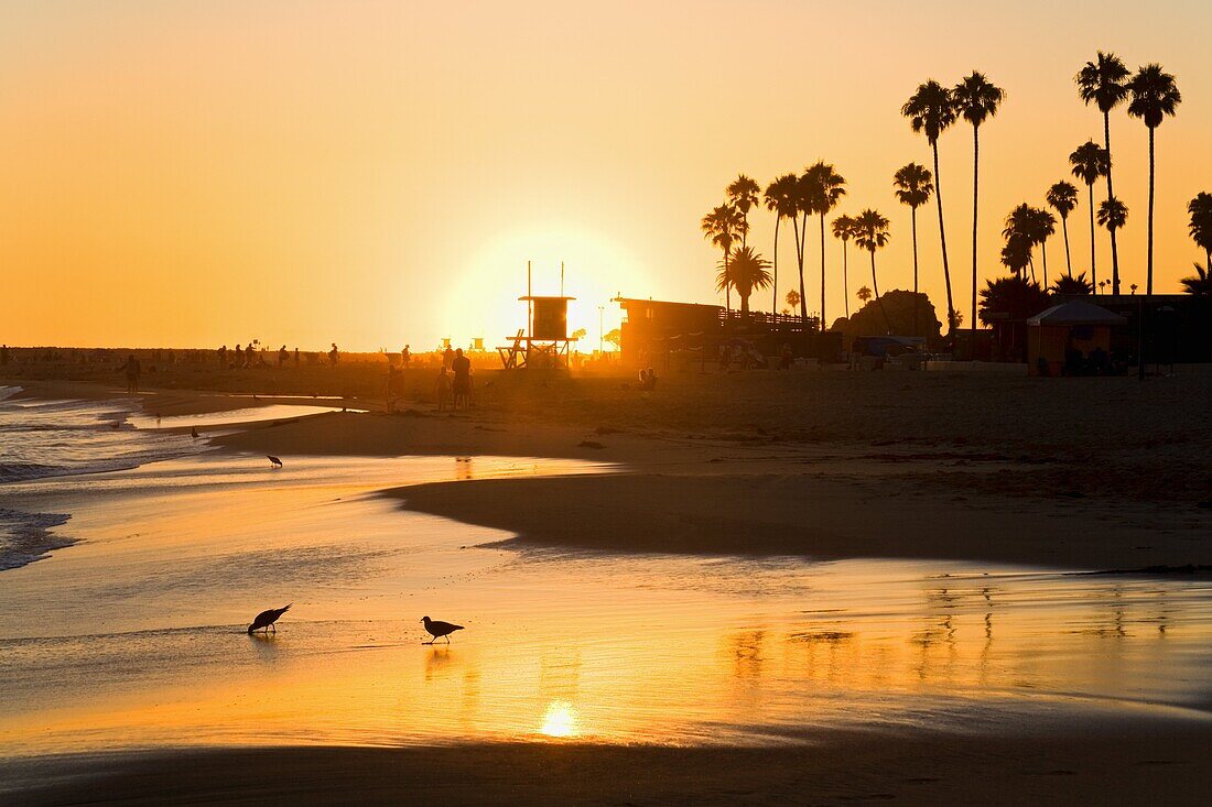 Sunset at Corona del Mar Beach, Newport Beach, Orange County, California, United States of America, North America