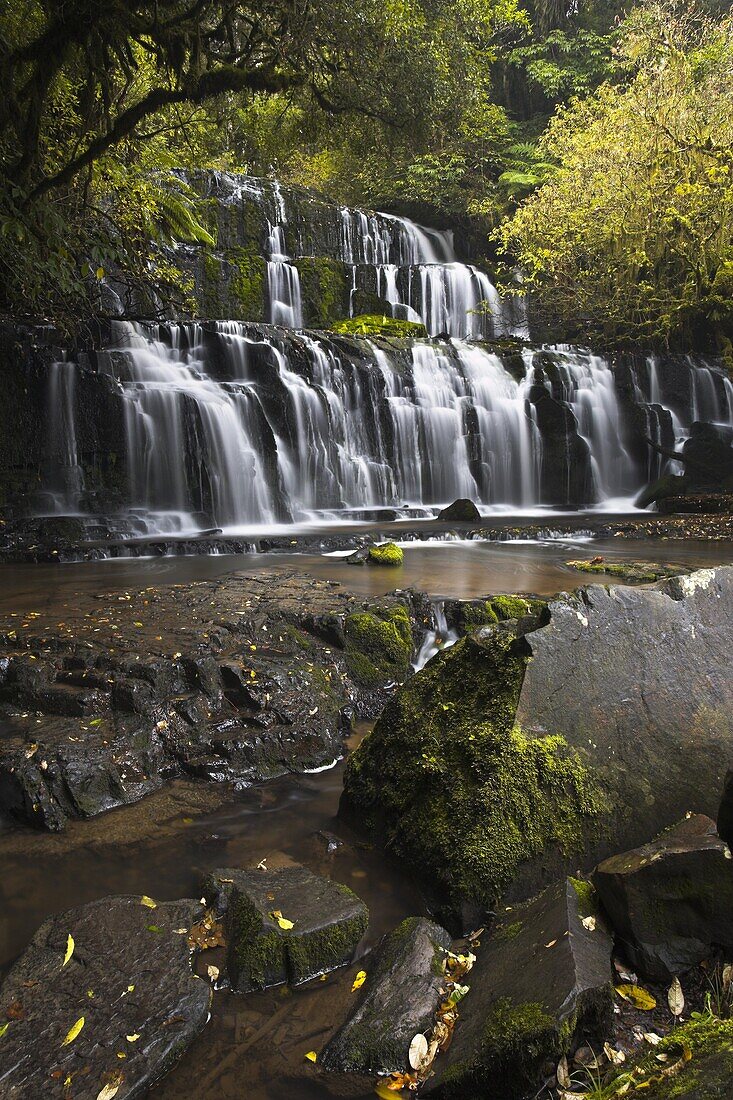 Purakaunui Falls in The Catlins Forest Park, South Island, New Zealand, Pacific