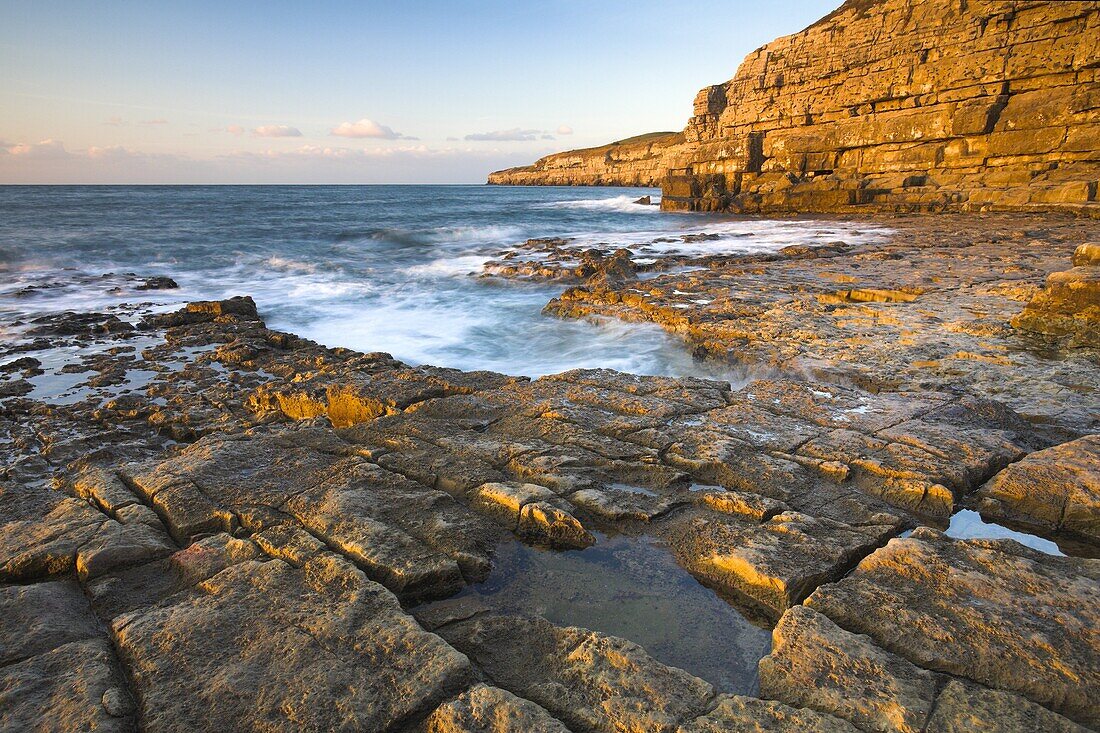 Early morning sunshine glows golden on the cliffs at Seacombe on the Isle of Purbeck, Jurassic Coast, UNESCO World Heritage Site, Dorset, England, United Kingdom, Europe