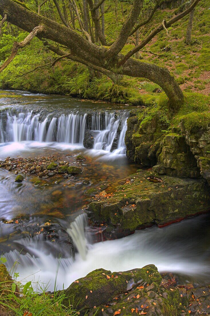 Horsehoe Falls in the Brecon Beacons National Park, Powys, Wales, United Kingdom, Europe