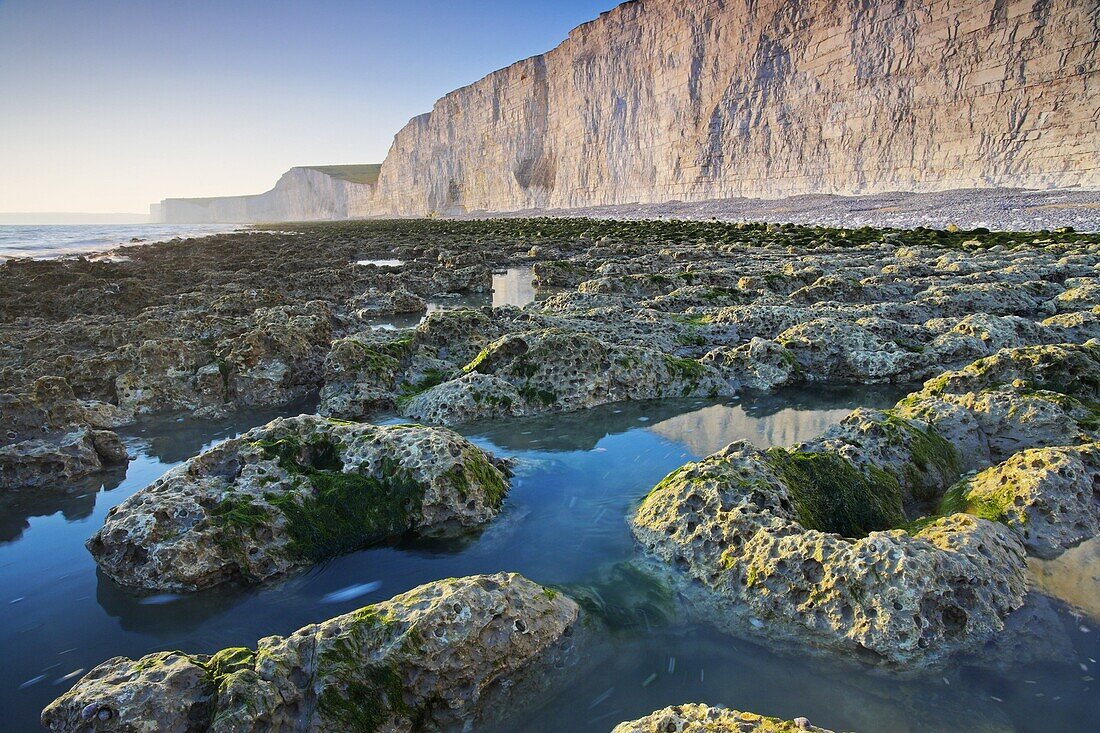 Rock pools below the Seven Sisters white chalk cliffs at Birling Gap, South Downs National Park, East Sussex, England, United Kingdom, Europe