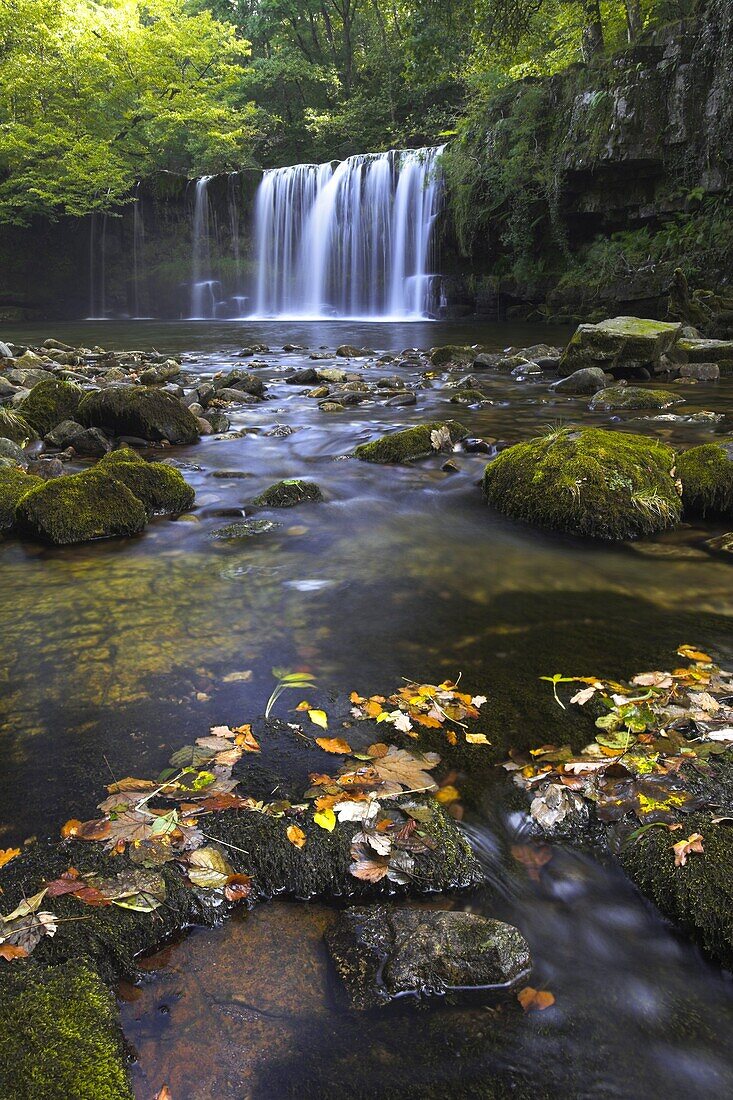 Upper Ddwli waterfall in summer, Brecon Beacons National Park, Powys, Wales, United Kingdom, Europe