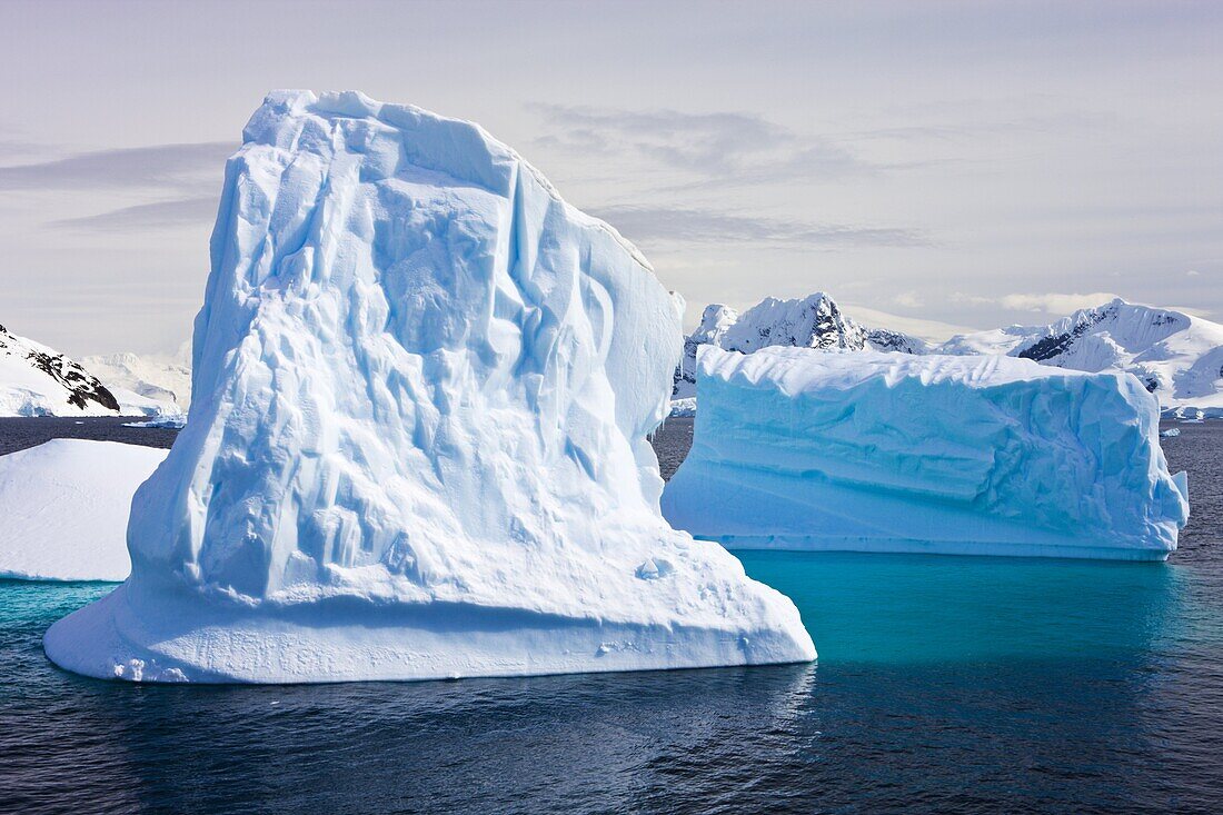 Icebergs grounded by the shore at Paradise Bay in the Antarctic Peninsula, Antarctica, Polar Regions