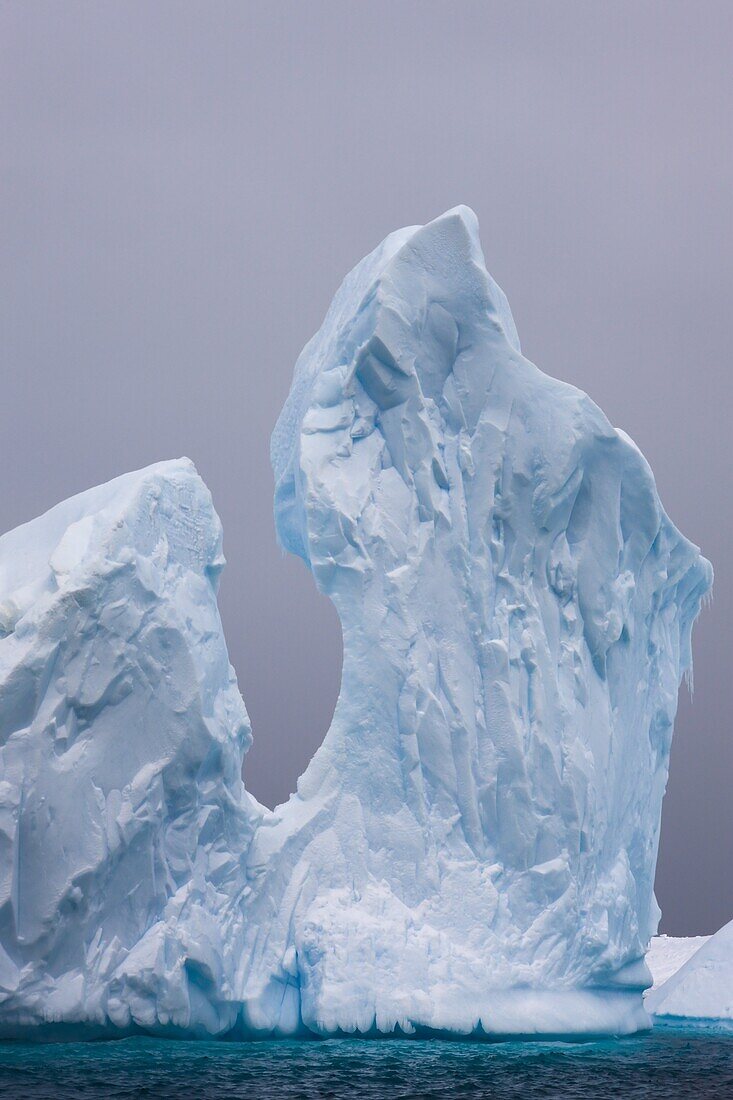 Iceberg graveyard on the Antarctic Peninsula, Antarctica, Polar Regions