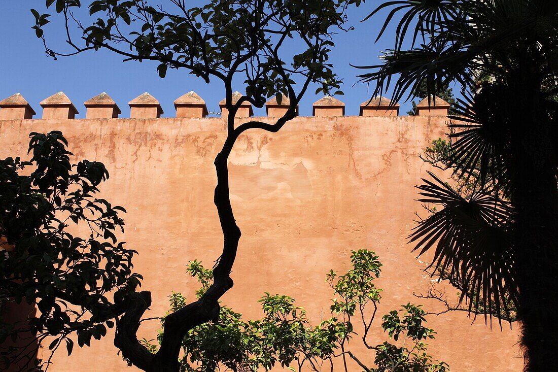 Garden of the Chorron, Real Alcazar, Seville, Andalucia, Spain, Europe