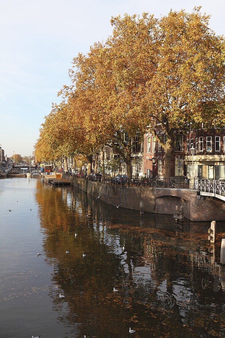 Autumnal leaves reflect in the water of a canal in central Utrecht, Utrecht Province, Netherlands, Europe