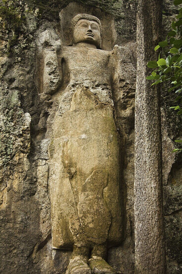 The 11 meter tall unfinished statue of Buddha at the 1st century BC Dowa (Dhowa) Temple on the road to Ella, Bandarawela, Sri Lanka, Asia