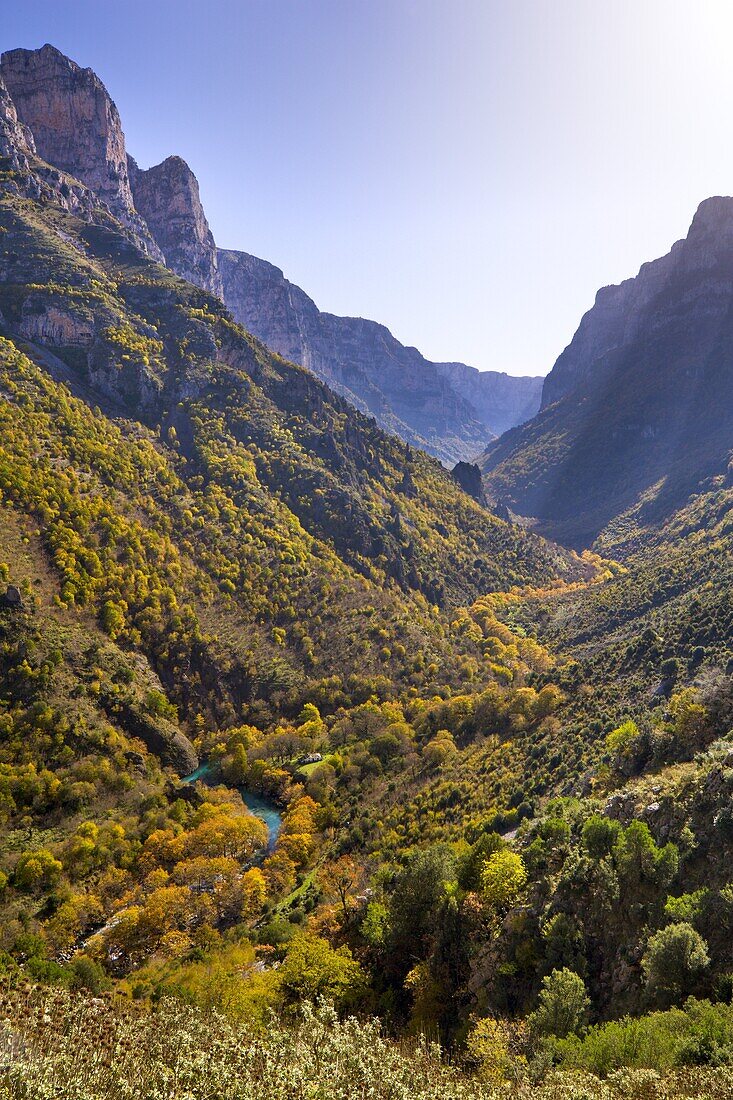 Looking down along the Vikos Gorge with the autumn foliage and turquoise waters of Voidomatis Springs below, Epirus, Greece, Europe