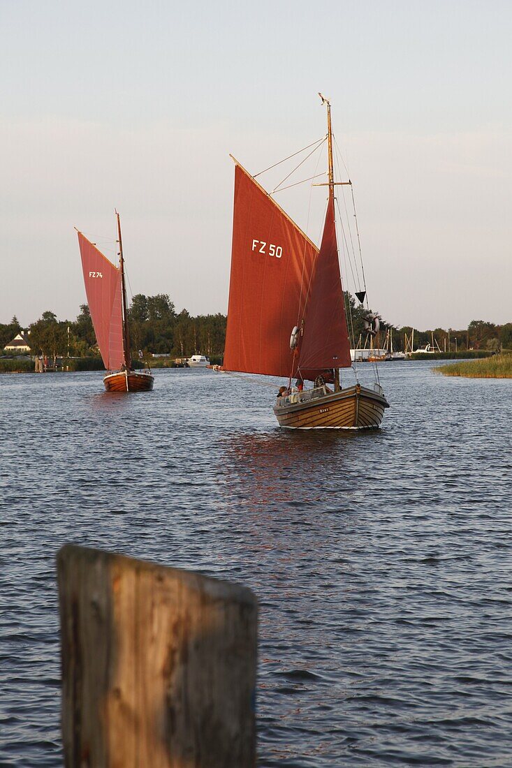 Zeesen boat at the Baltic Sea spa of Zingst, Darvu-Fischland, Mecklenburg-Western Pomerania, Germany, Europe