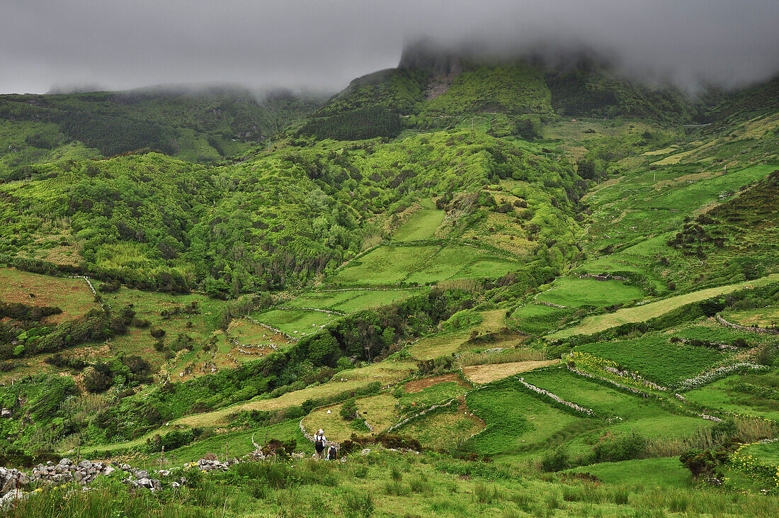 Hikers in the highlands with mountains, terraces and fog between Faja Grande and Fajazinha, Island of Flores, Azores, Portugal, Europe, Atlantic Ocean