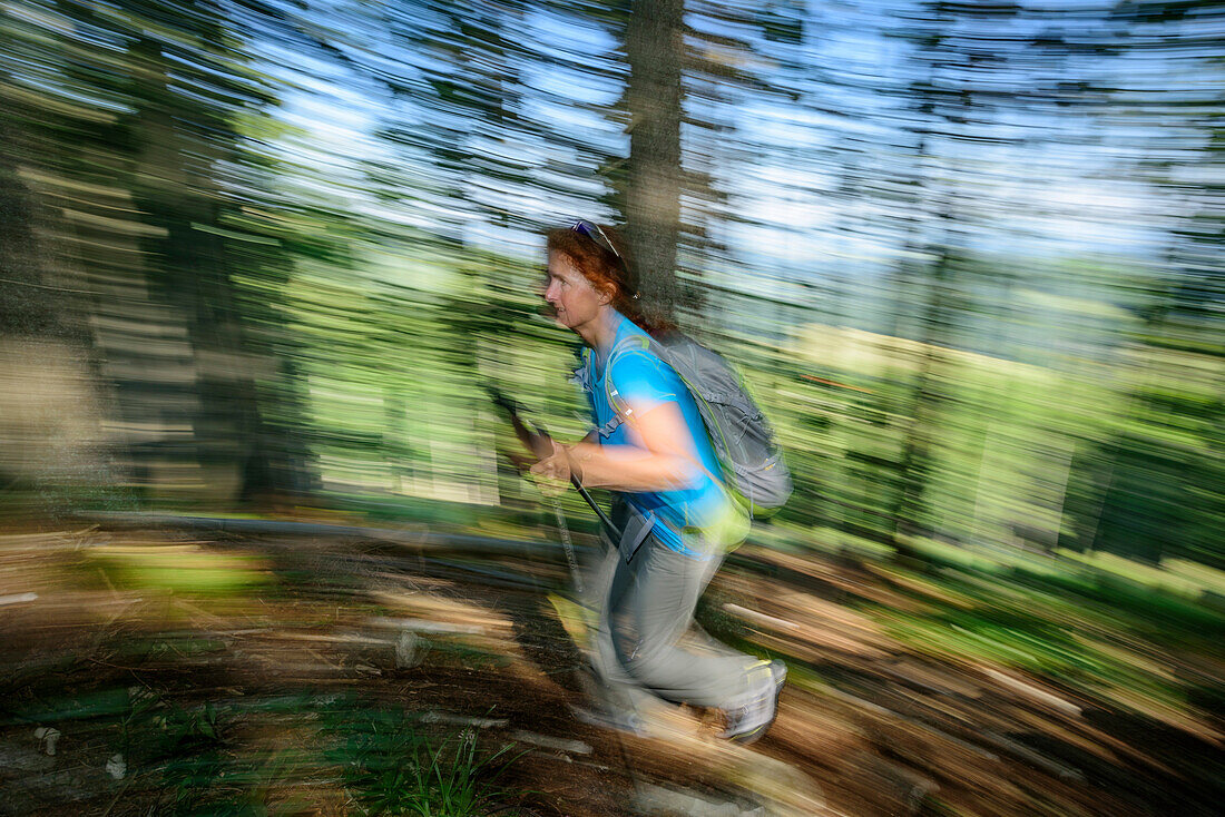 Woman hiking going through wood, Chiemgau Alps, Upper Bavaria, Bavaria, Germany