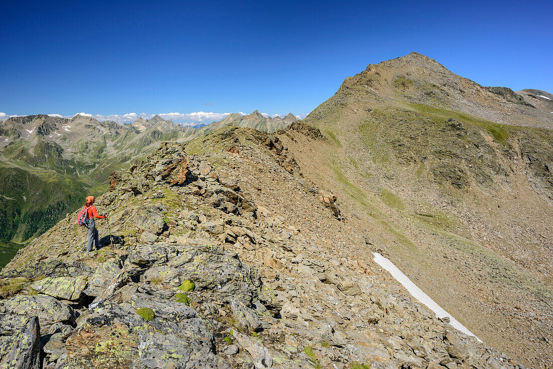 Woman hiking ascending on ridge towards Gleirscher Rosskogel, Gleirscher Rosskogel, Sellrain, Stubai Alps, Tyrol, Austria