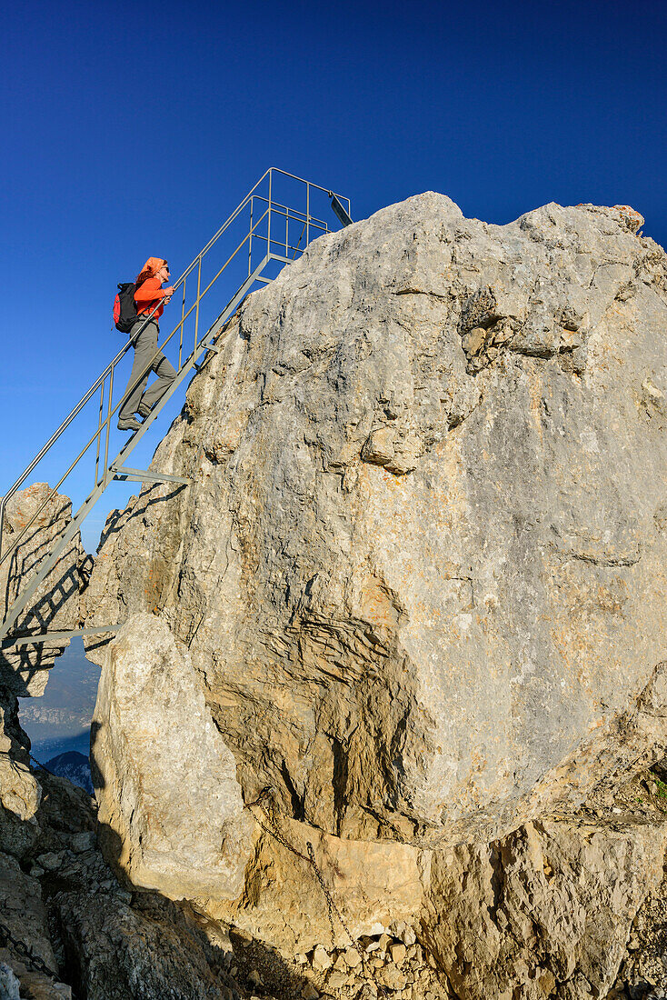 Woman hiking ascending on ladder towards La Tournette, La Tournette, Haute-Savoie, France