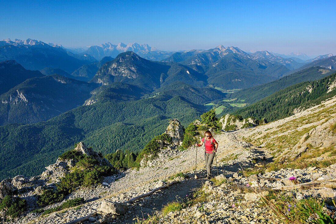 Woman hiking ascending towards Hochstaufen, Berchtesgaden Alps, Loferer Steinberge and Chiemgau Alps in background, Hochstaufen, Chiemgau Alps, Upper Bavaria, Bavaria, Germany