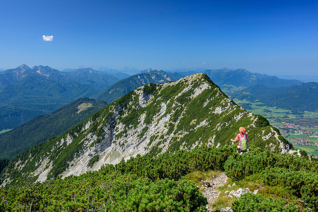 Woman hiking towards Gamsknogel, Zwiesel, Chiemgau Alps, Upper Bavaria, Bavaria, Germany